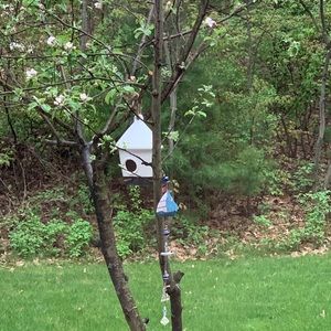 Meet your Posher, Victoria